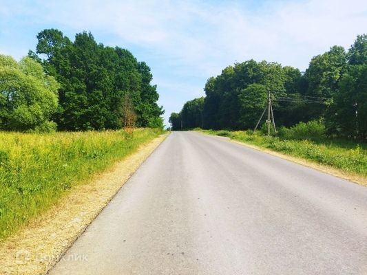 земля р-н Ясногорский д Гайтурово фото 4