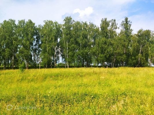 земля р-н Ясногорский д Гайтурово фото 2