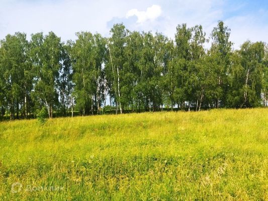 земля р-н Ясногорский д Гайтурово фото 4