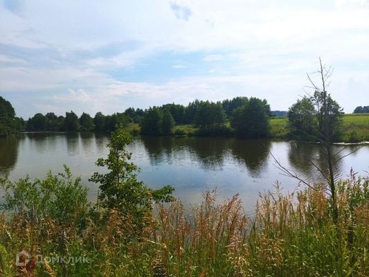 земля р-н Ясногорский д Гайтурово фото 4