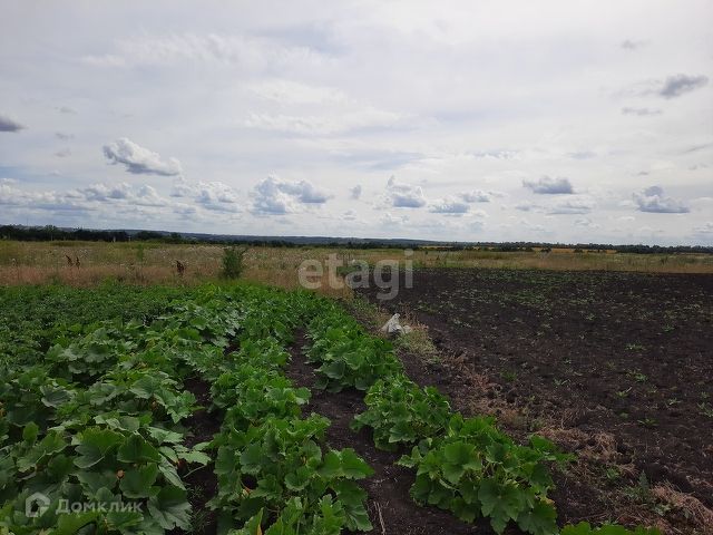 земля р-н Яковлевский фото 10