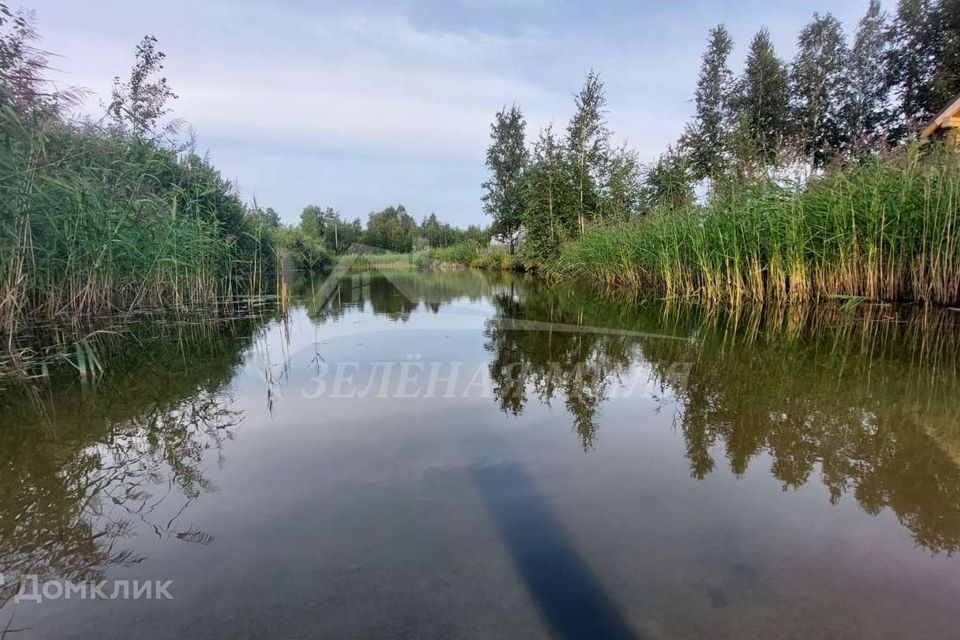 земля г Тюмень снт Ясень ул Северная фото 3