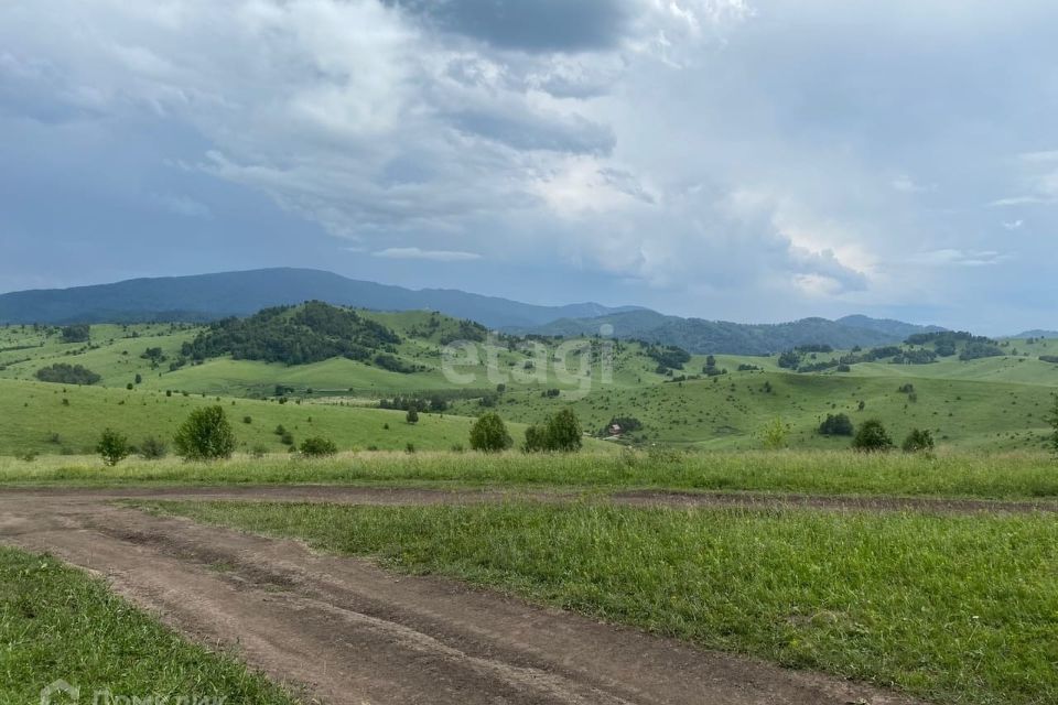 земля р-н Алтайский фото 3