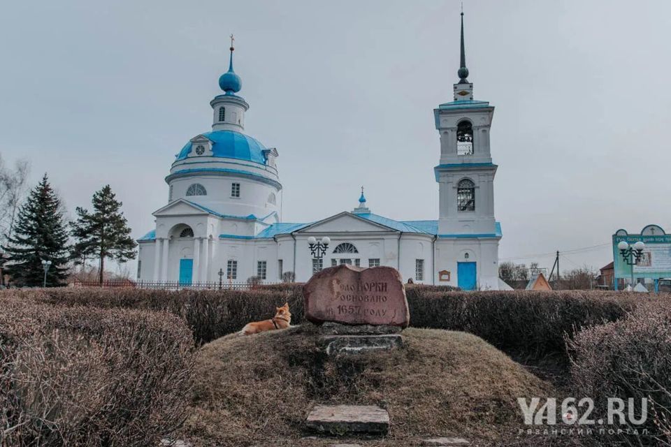 земля р-н Сапожковский с Морозовы Борки ул Центральная фото 6