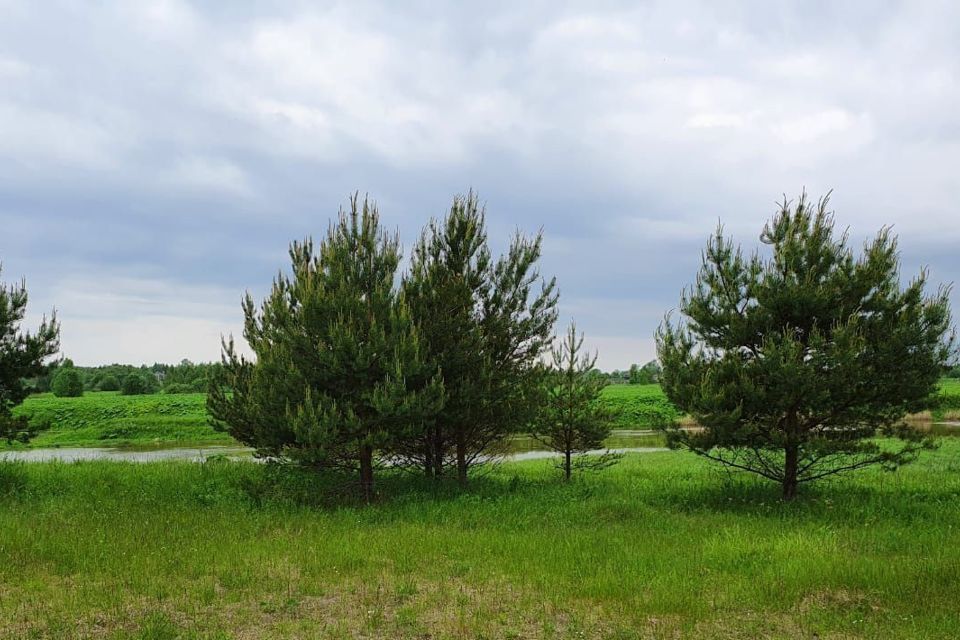 земля р-н Конаковский фото 1