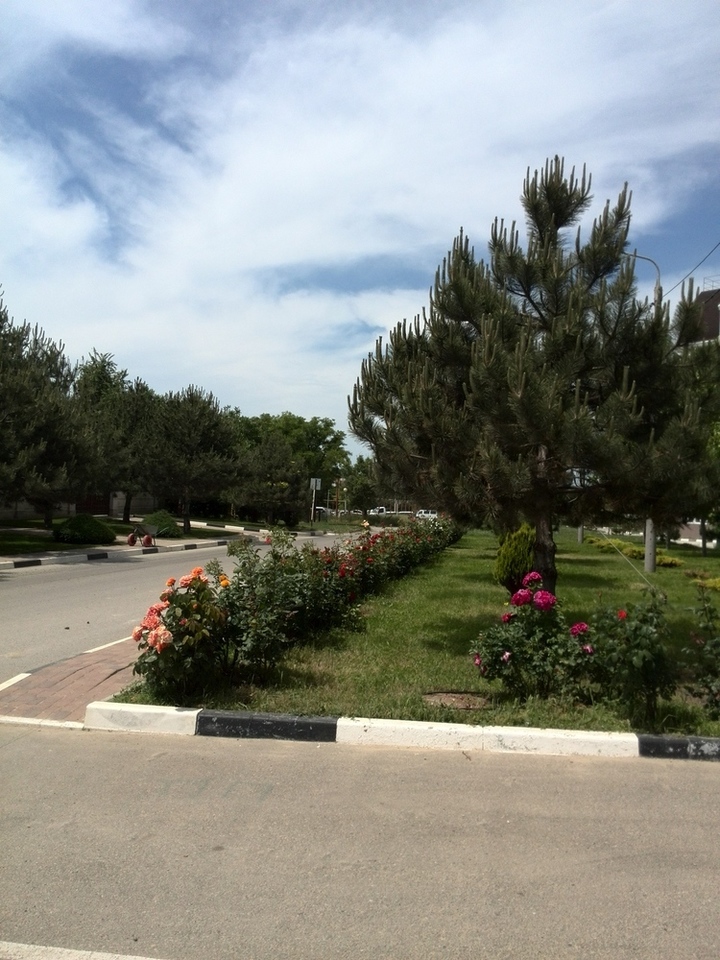общепит, отдых р-н Анапский г Анапа фото 13