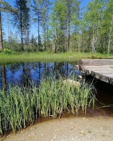 дом р-н Муезерский фото