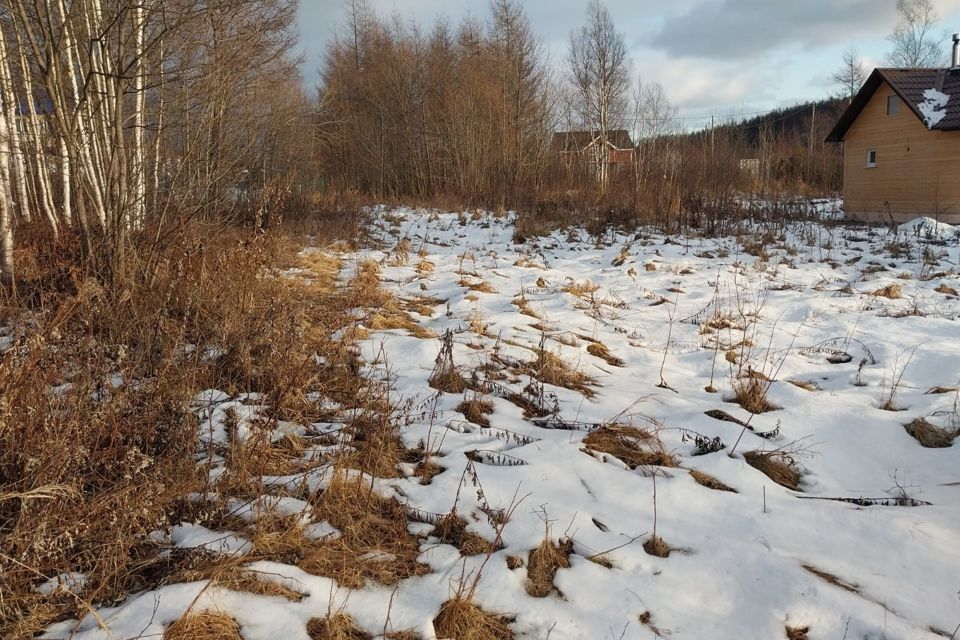 земля г Южно-Сахалинск фото 2