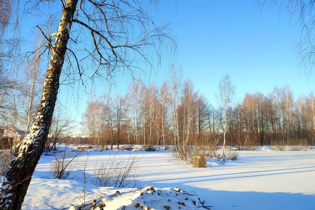 ул Непокорённых Ленинградцев фото