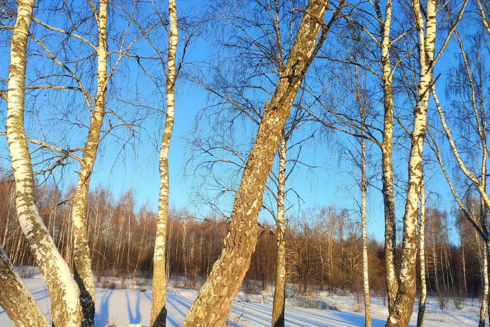 земля г Калуга ул Непокорённых Ленинградцев фото 4