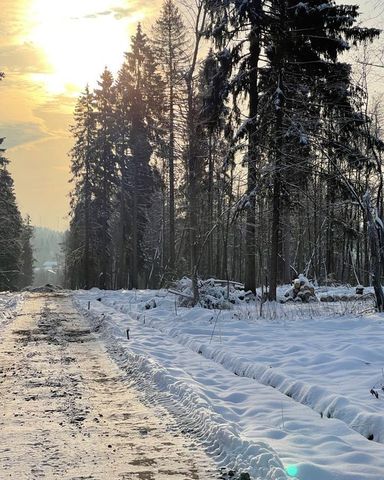 городской округ Дмитровский д Ваньково Деденево фото