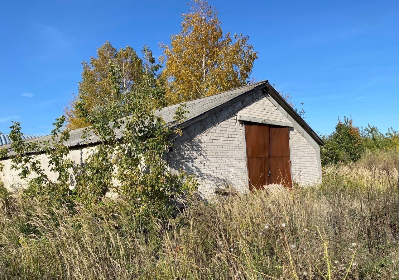 производственные, складские р-н Камско-Устьинский пгт Камское Устье муниципальное образование посёлок городского типа Камское Устье, ул. Карла Маркса, 114 фото 3