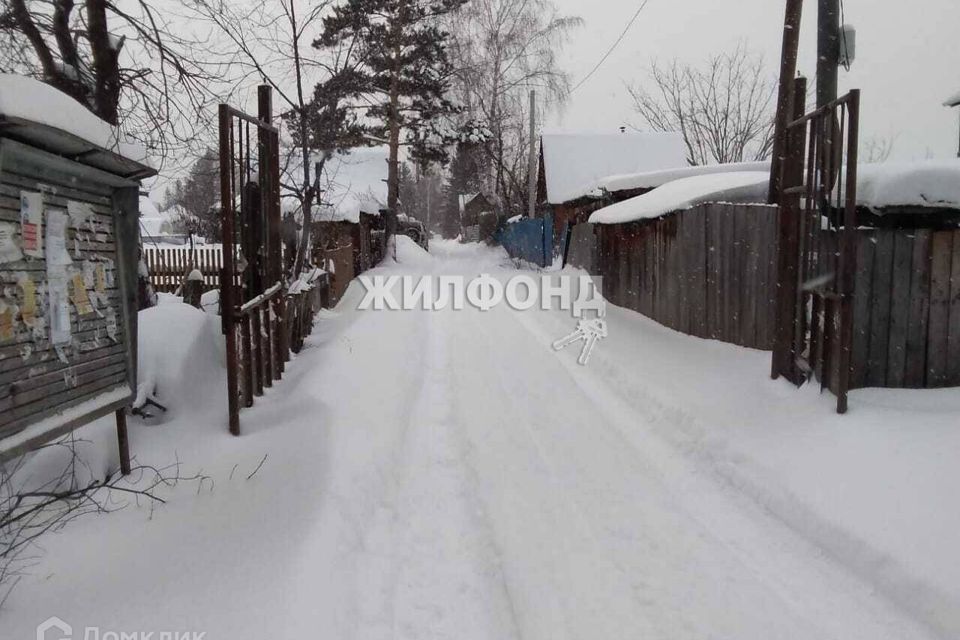 земля г Новосибирск р-н Дзержинский Берёзовая роща фото 1