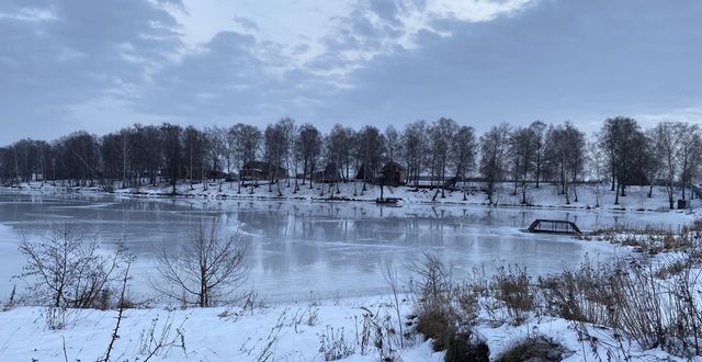 городской округ Домодедово с Успенское Домодедово фото