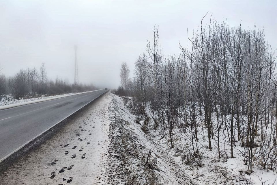 земля р-н Всеволожский г Всеволожск микрорайон Отрада фото 1