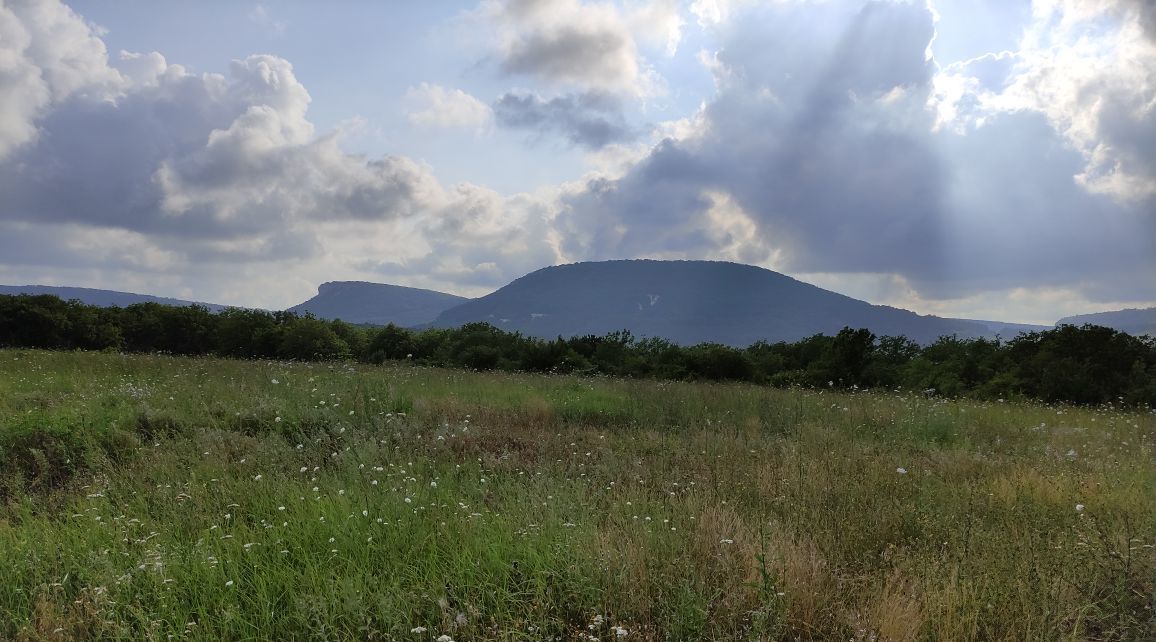 офис р-н Бахчисарайский пгт Научный Бахчисарай городское поселение фото 1