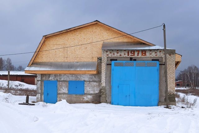 г Арзамас д. Берёзовка фото