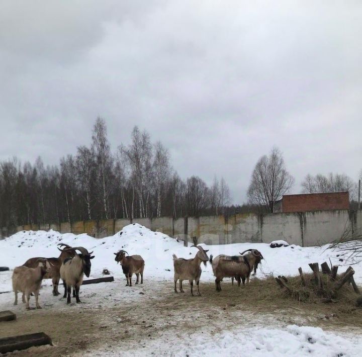 производственные, складские р-н Суворовский г Суворов ул Текстильщиков 13 фото 3