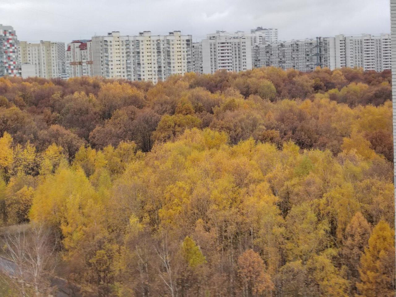 квартира г Москва п Новобратцевский метро Митино ул Парковая 33 фото 13