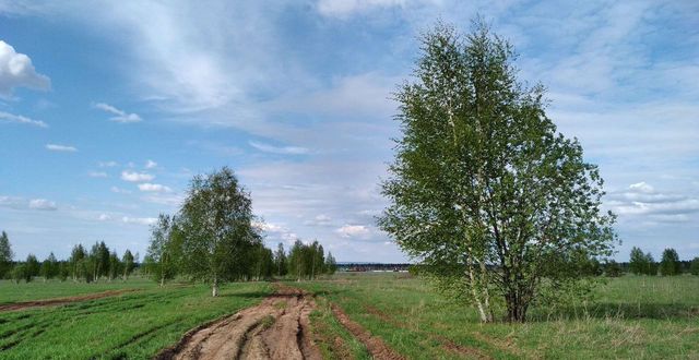 р-н Пермский Усть-Качкинское сельское поселение, Уральский фото