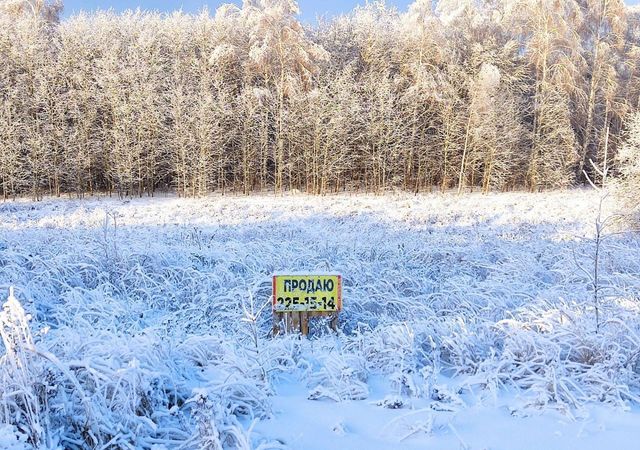 р-н Пестречинский д Званка ул Приозерная Кощаковское сельское поселение, Казань фото