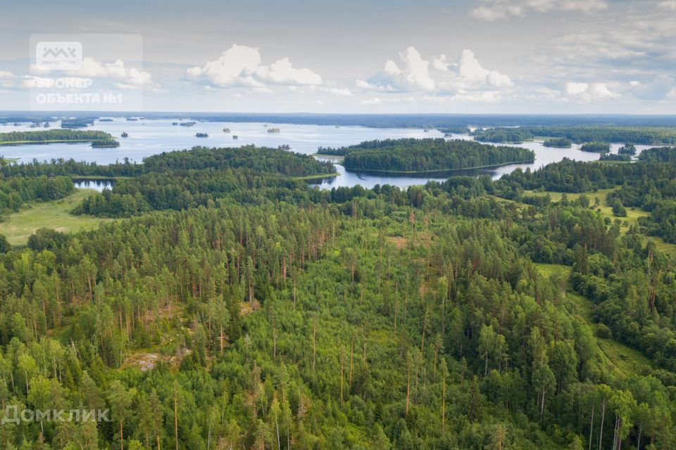 земля р-н Приозерский фото 4