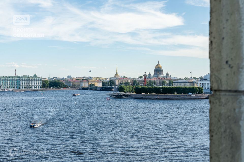 квартира г Санкт-Петербург Петроградская сторона пр-кт Добролюбова 2а фото 2