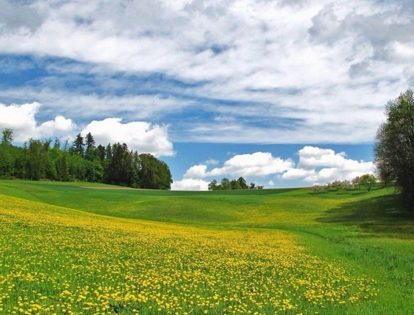 земля р-н Новокузнецкий фото 1