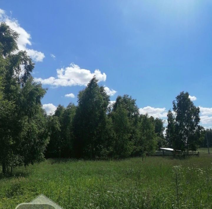 земля городской округ Богородский с Новосергиево фото 1