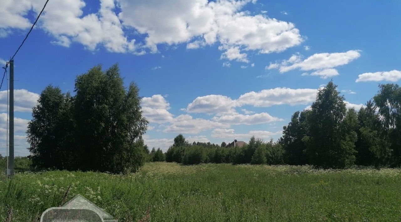 земля городской округ Богородский с Новосергиево фото 3