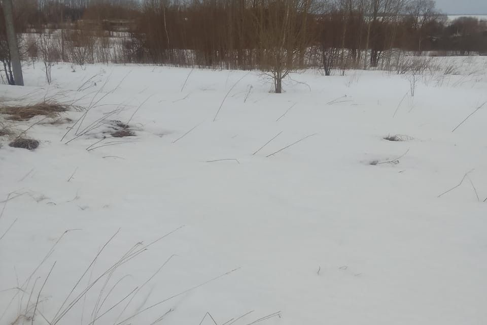 Купить Участок В Юрьево Великий Новгород