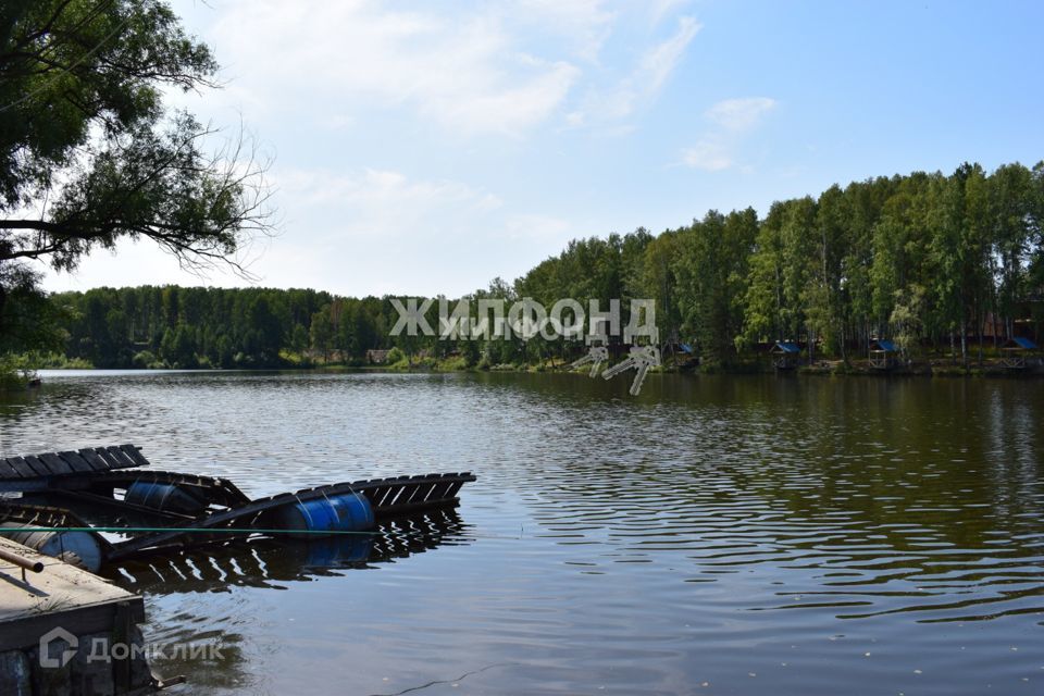 земля р-н Новосибирский п Каинская Заимка ул Боровая фото 4