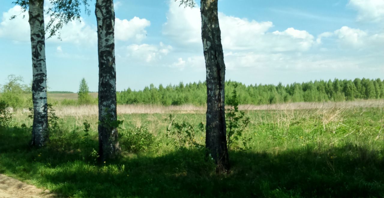 земля р-н Смоленский д Гевино Кощинское сельское поселение, Смоленск фото 1