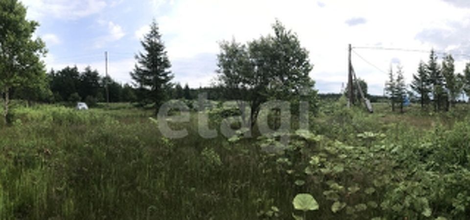 земля г Южно-Сахалинск с Березняки ул Зеленая 12 фото 3