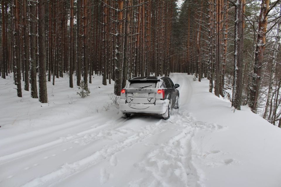 земля р-н Сокольский фото 6