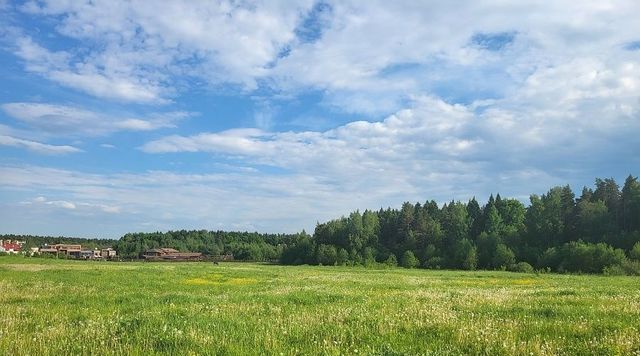 г Химки д Голиково Золотые Купола мкр, ул. Центральная фото