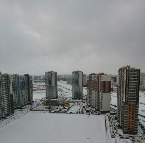 г Санкт-Петербург р-н Красногвардейский пр-кт Васнецовский 22 округ Полюстрово, деревня Рыбацкое фото