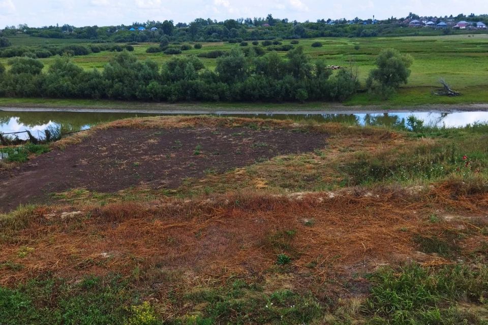 дом р-н Калманский с Калманка ул К.Ударцева фото 5