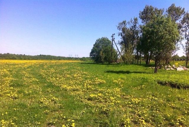 Путиловское сельское поселение фото