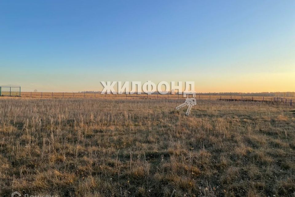 земля р-н Новосибирский п Тулинский ул Тимирязева фото 1