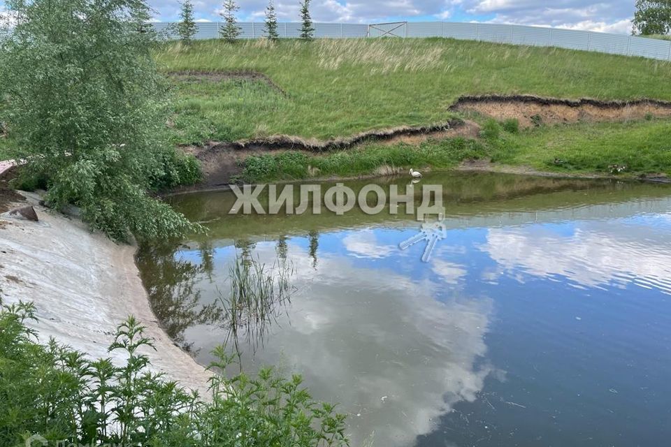 земля р-н Новосибирский п Тулинский ул Тимирязева фото 3