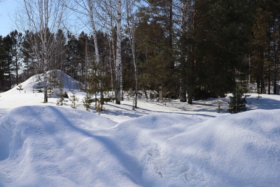 земля р-н Новосибирский п Воробьевский фото 2