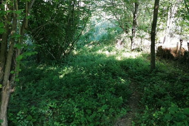 с Казачий Брод р-н Адлерский внутригородской с Бестужевское фото