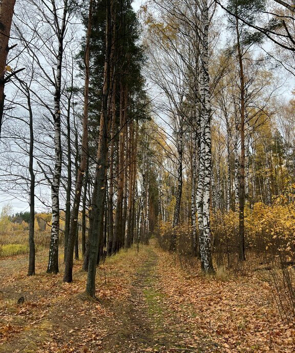 земля г Павловский Посад Мишутино коттеджный посёлок Мишутинская Слобода, 98 фото 2