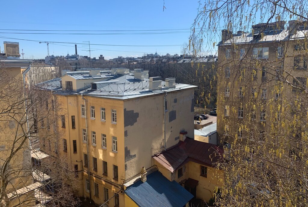 квартира г Санкт-Петербург метро Петроградская Петроградская сторона ул Рентгена 11 Посадский округ фото 12