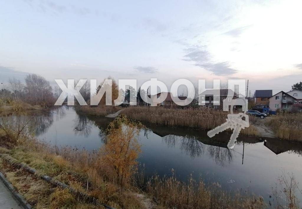 земля г Новосибирск р-н Первомайский снт Строймашевец фото 3