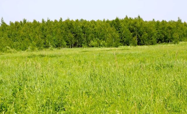 Восточный микрорайон «Восточный» фото