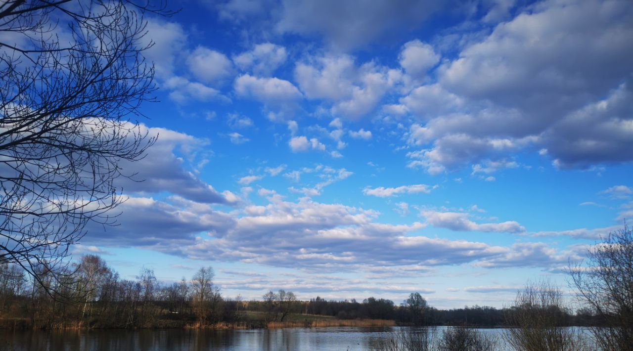 земля городской округ Клин д Голиково днп Солнечный берег ул. Лесная фото 9