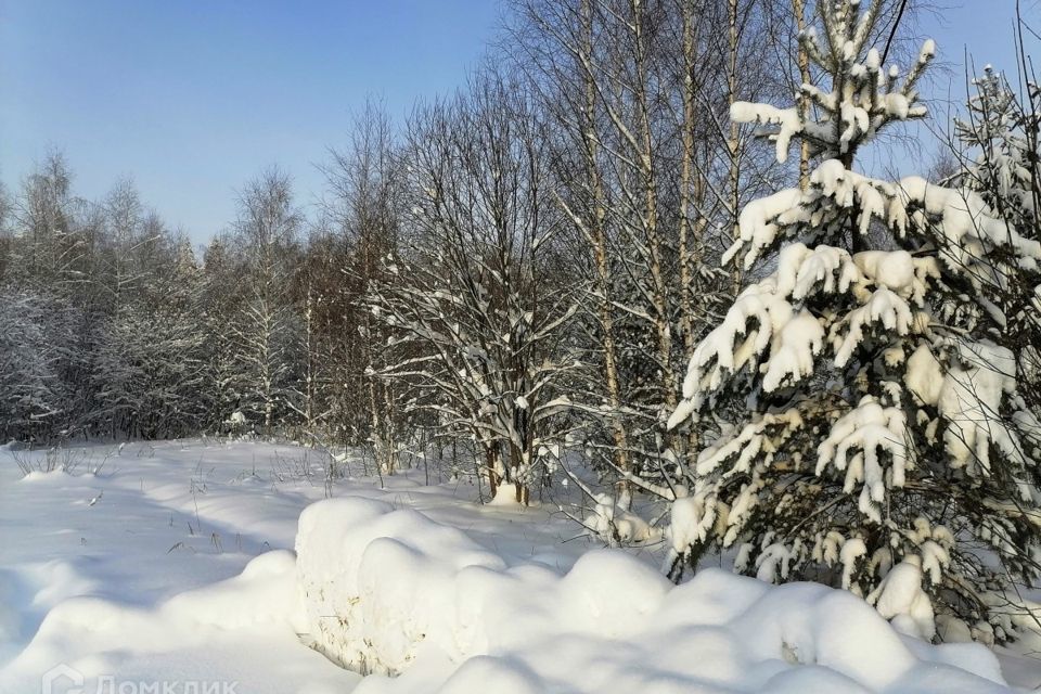 земля р-н Киржачский фото 9