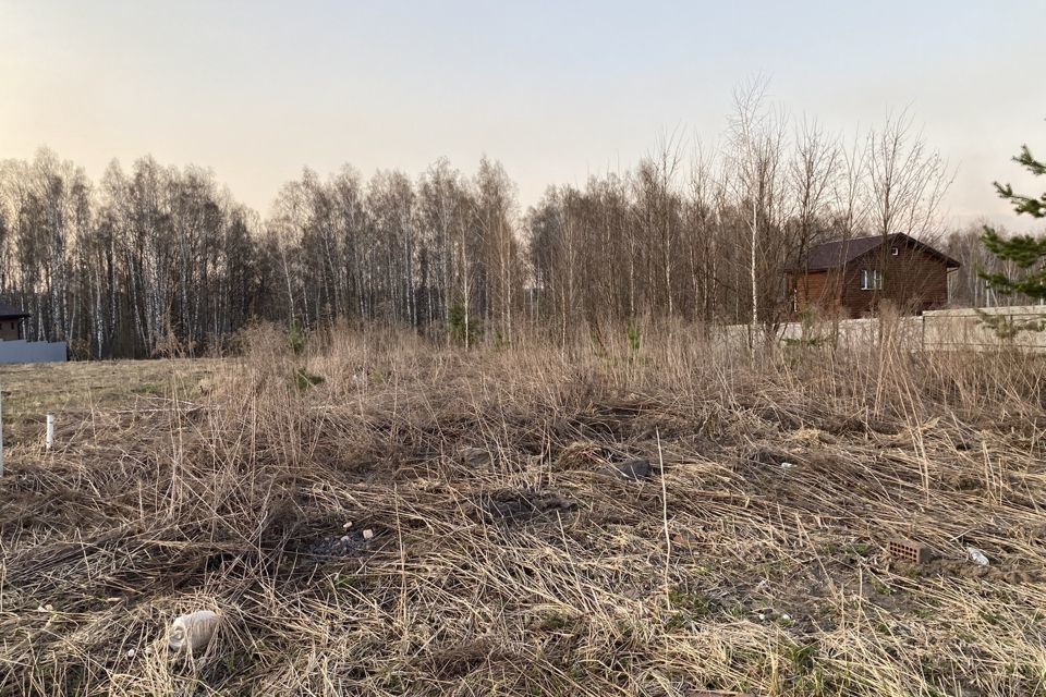 земля р-н Железногорский с Разветье ул Каштановая фото 4